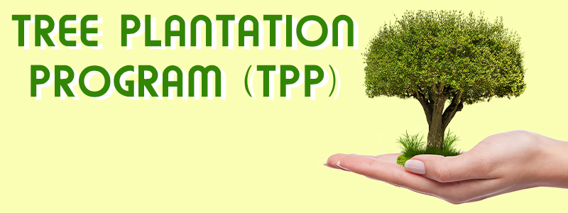 Description of image C